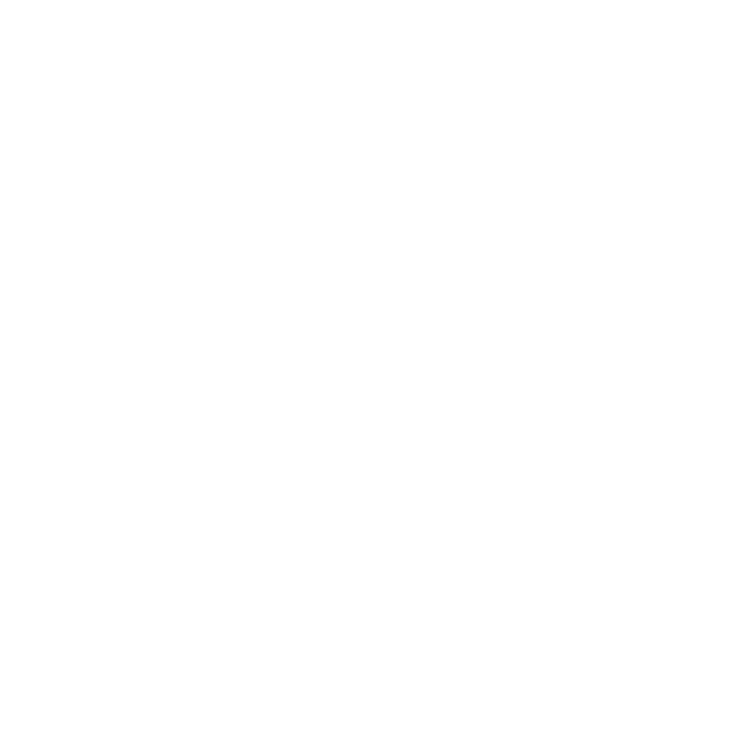 Dealertech Detective Icon